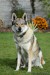 DSC_4772_00001_ZM
