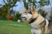 DSC_4803_00001_ZM