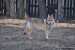DSC_0028zmm