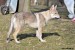 DSC_0056zmm
