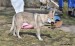 DSC_0058zmm
