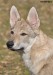 DSC_0249zmm