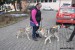 Ghabi Srdcerváč a Cythar Arqeva